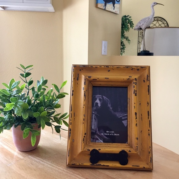 Dog Photo Frame 🐶🐾